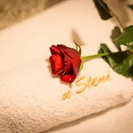 U Steni