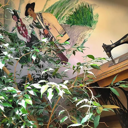 Bed & Breakfast U Steni 3*