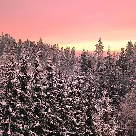 Bed & Breakfast U Steni Gliczarów