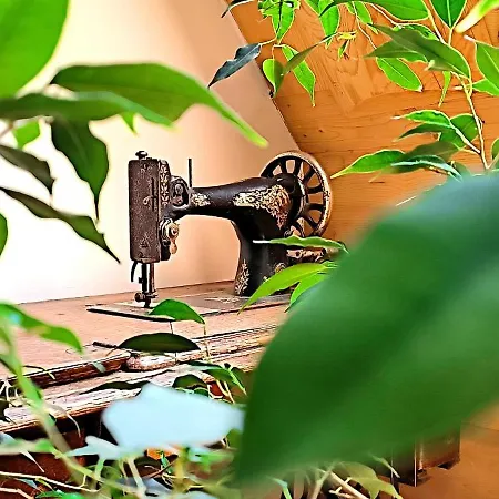 U Steni Bed & Breakfast