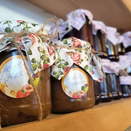 Bed & Breakfast U Steni