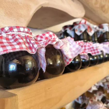 Bed & Breakfast U Steni 3*