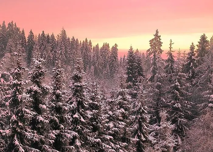 Bed and Breakfast U Steni Gliczarów