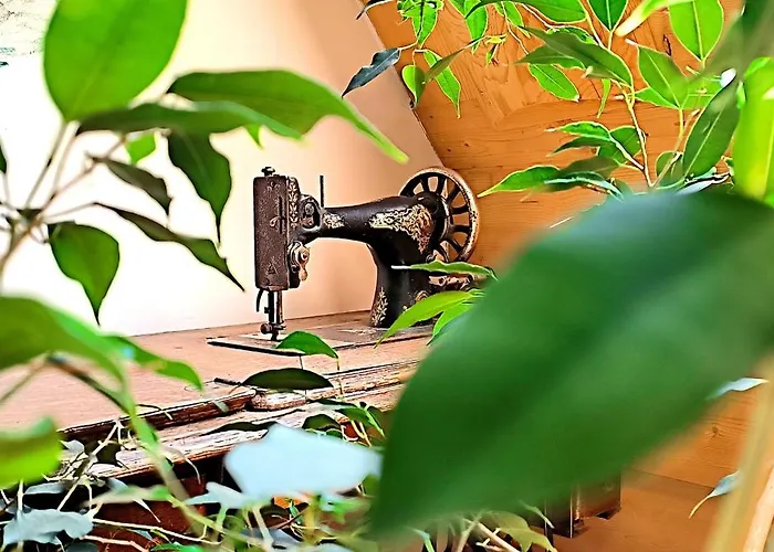 U Steni לינה וארוחת בוקר