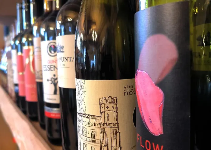 לינה וארוחת בוקר U Steni