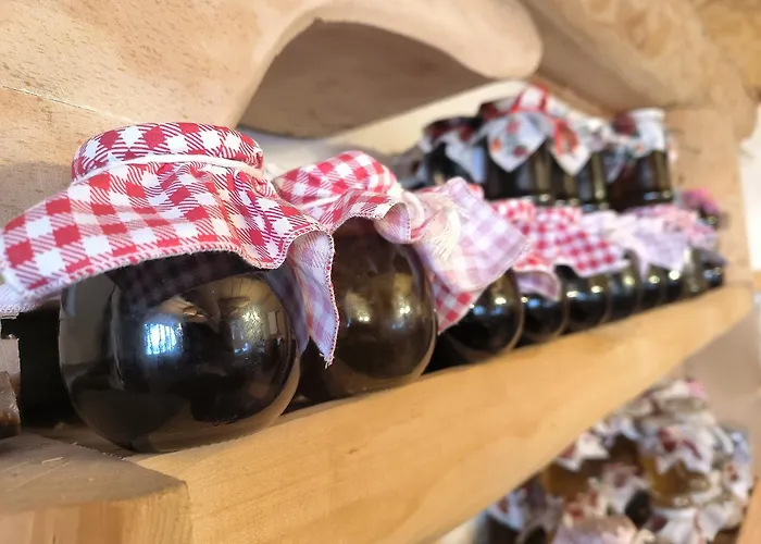 לינה וארוחת בוקר U Steni 3*